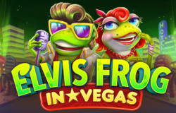 Elvis Frog In Vegas Slot Game Review 2025 – Play for FREE or REAL MONEY